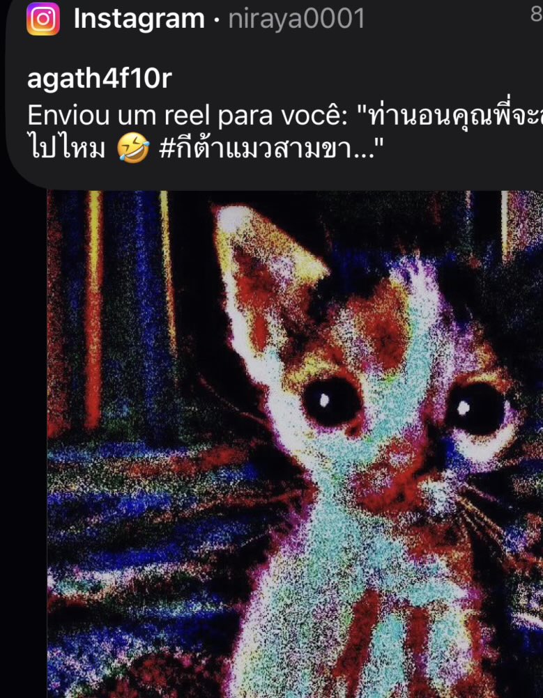 niraya0001 tweet media