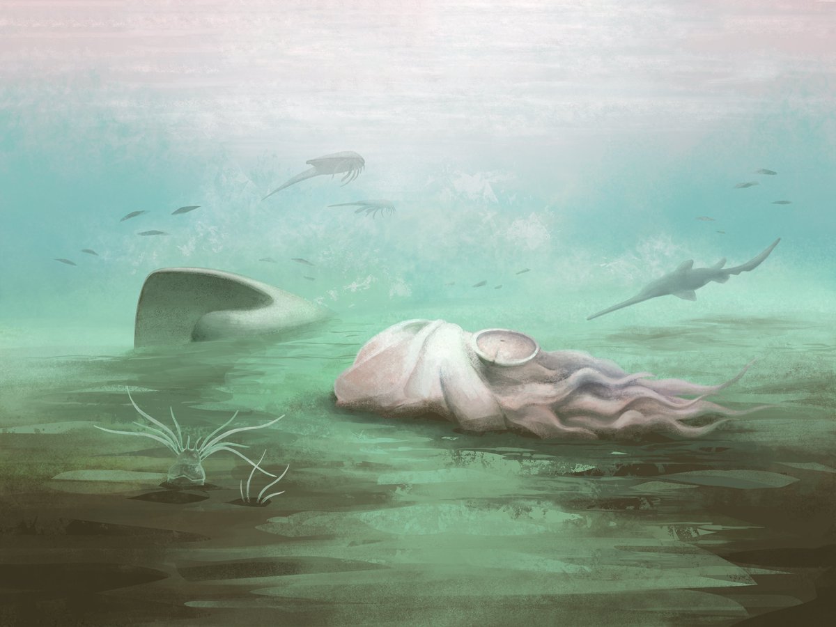 Tyler Greenfield tweet media