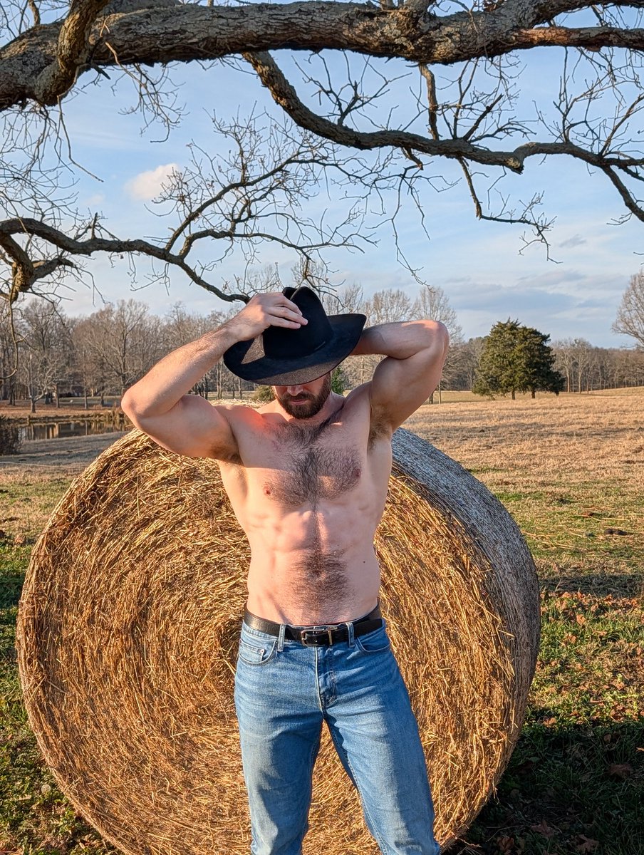 Daddylorian tweet media