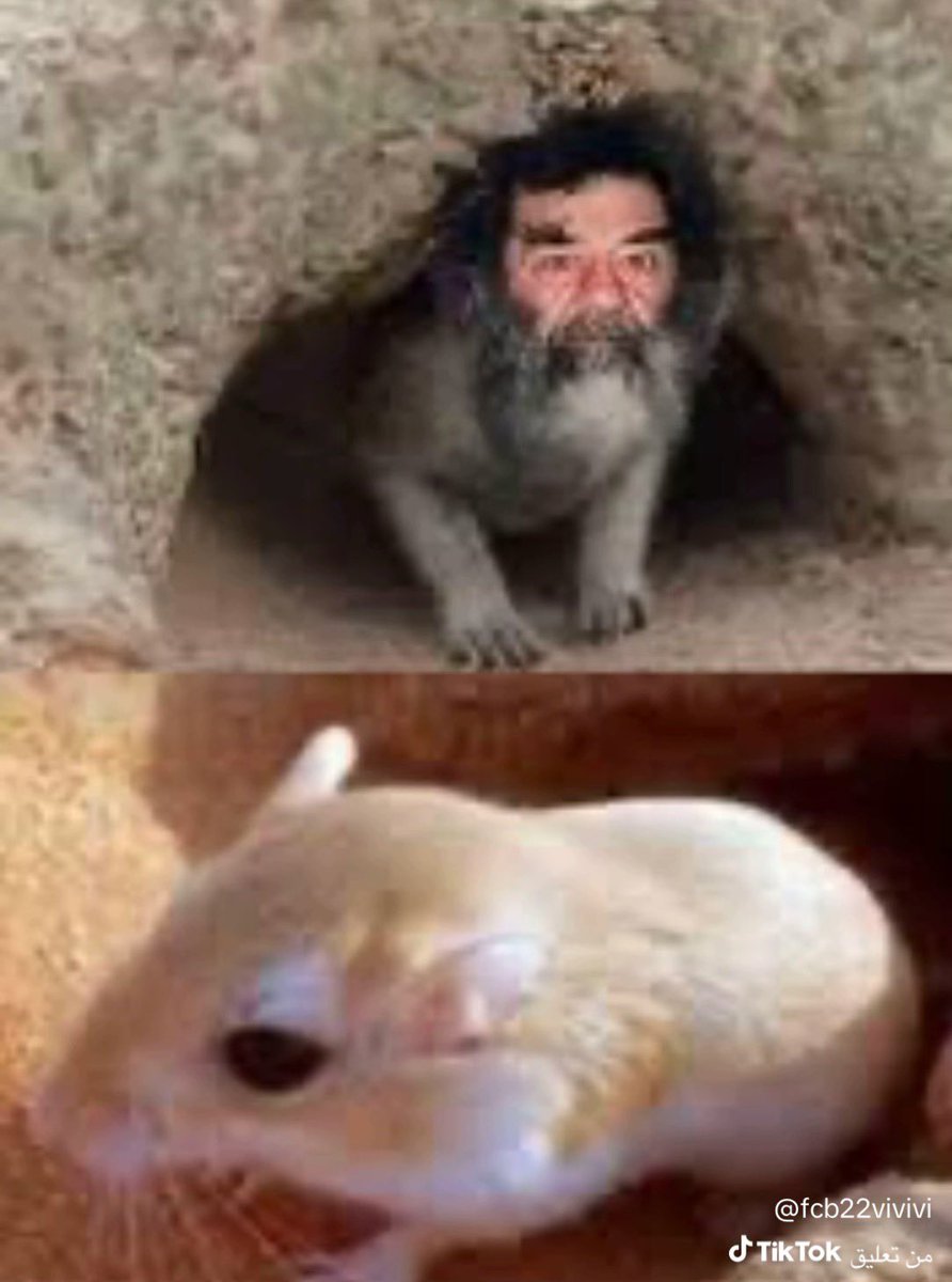 Fajer🌼 tweet media