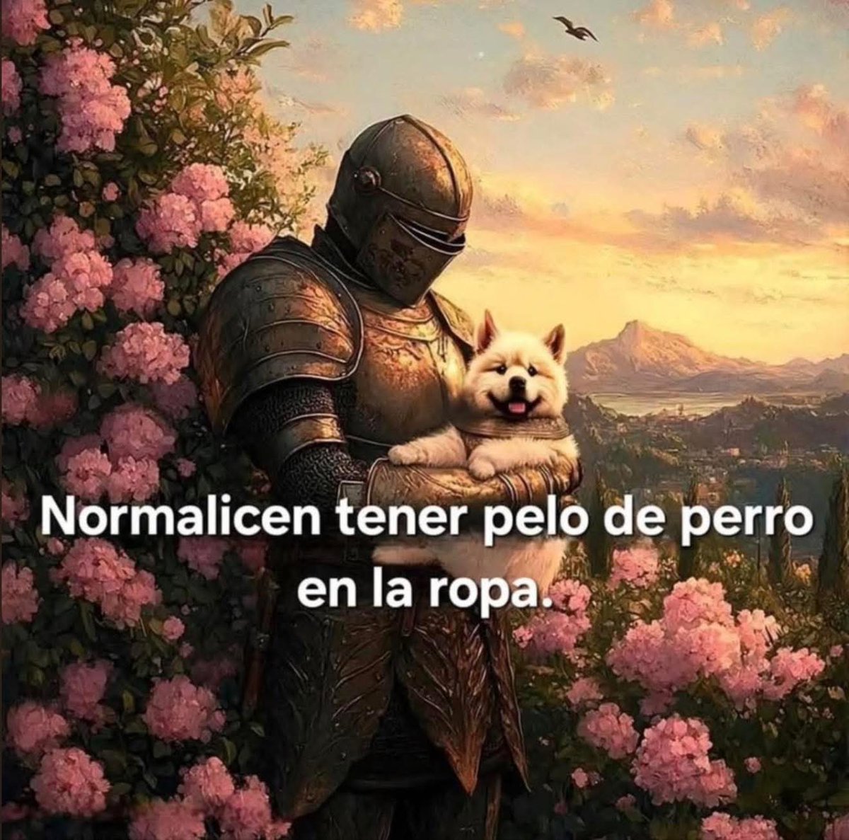 Dilo con perritos tweet media