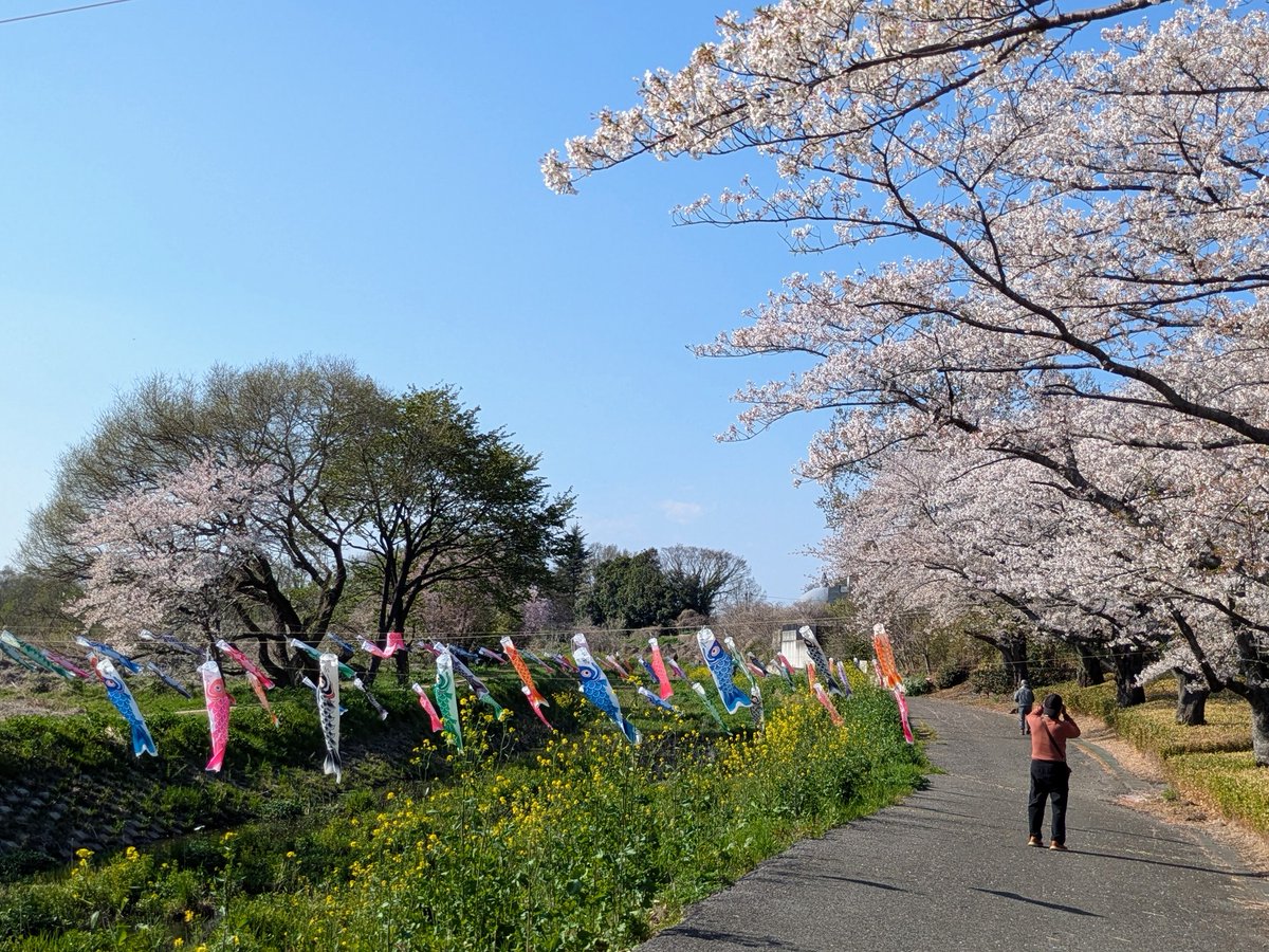 館林くらし🦝🦊 tweet media