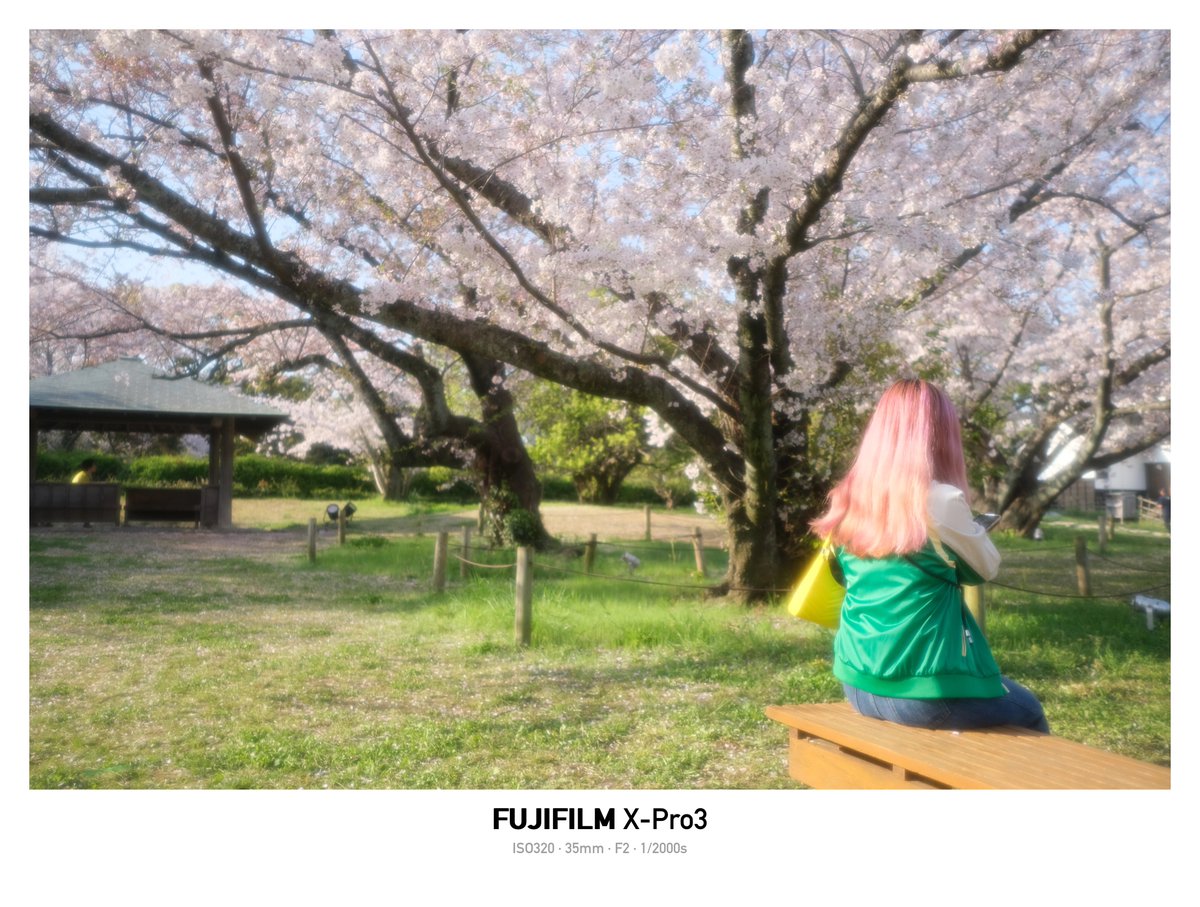 momochaaanmac's tweet photo. 🌸✖️桜色の髪の女性
#桜 #風景スナップ #スナップ #snap
#X_Pro3 #fujifilm_xseries
#写真好きな人と繋がりたい https://t.co/H5zJ70h1Vy