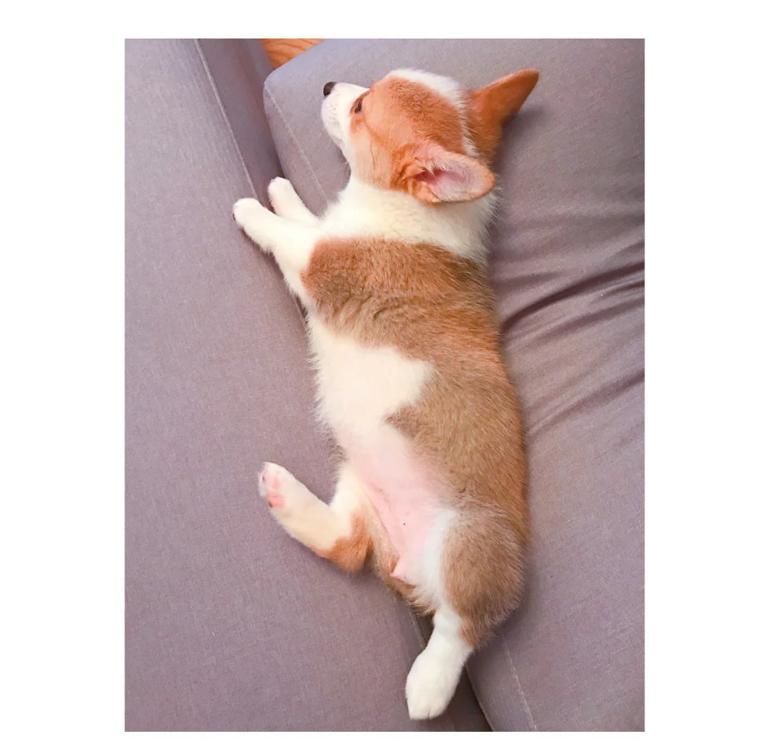 newalbum tweet media