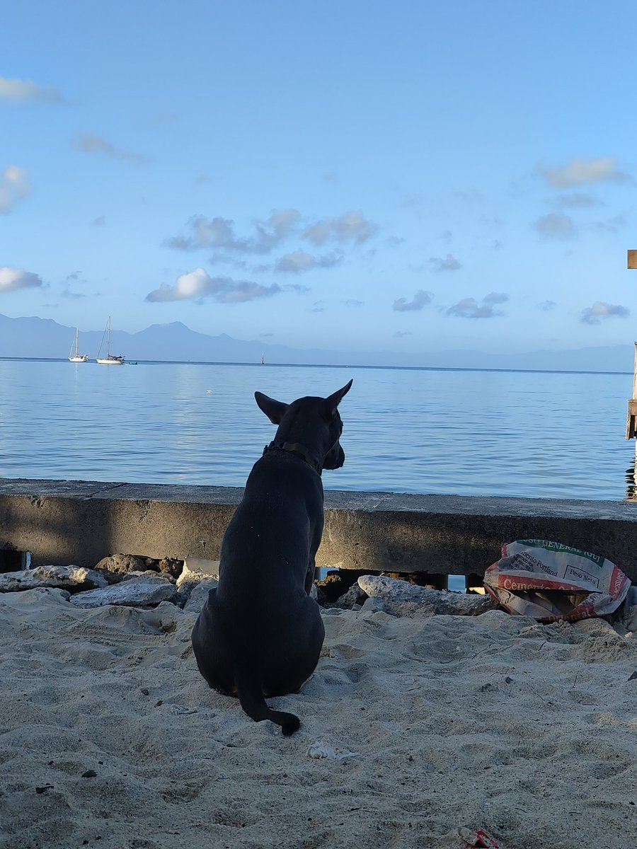 El Grinch. tweet media