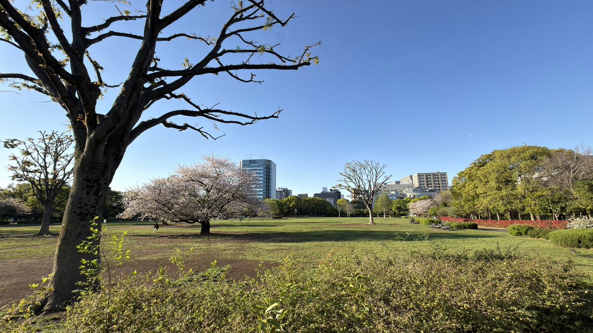 清澄白河に住むひと tweet media