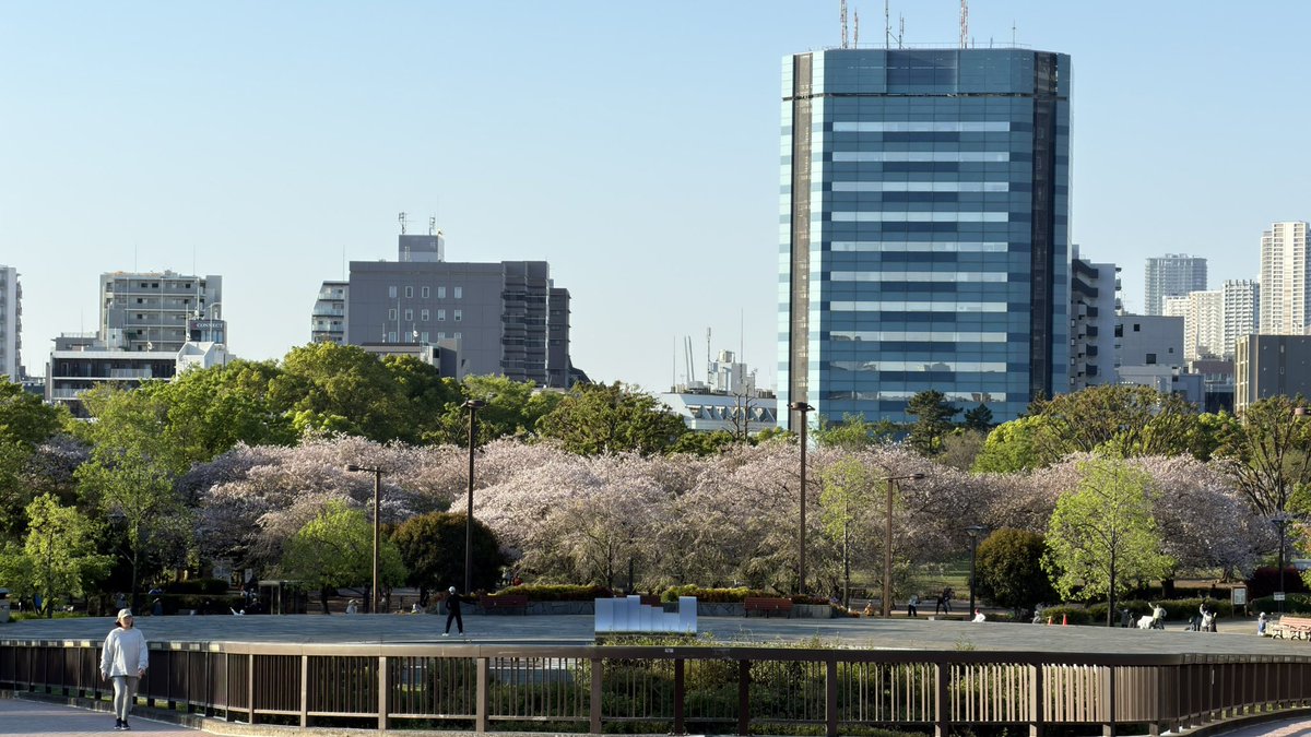 清澄白河に住むひと tweet media