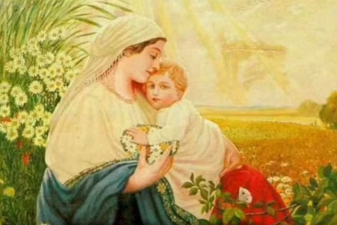 Noah’s Ark 🚢 tweet media