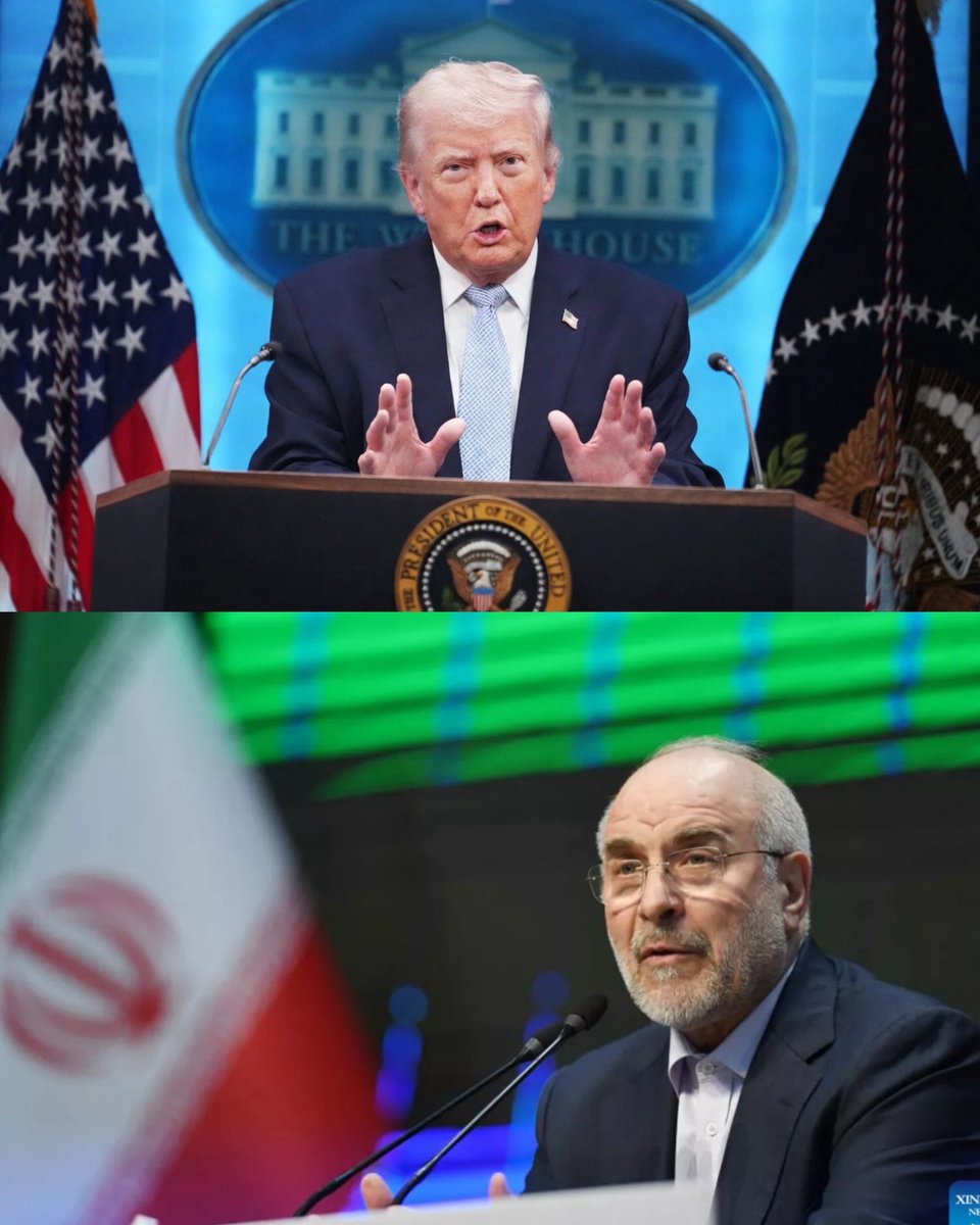 Benny Johnson tweet media