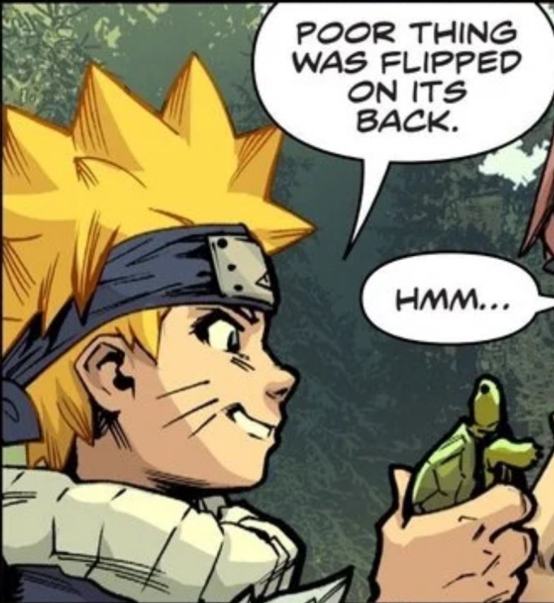 flora 🍓✮ 𖦹 tweet media