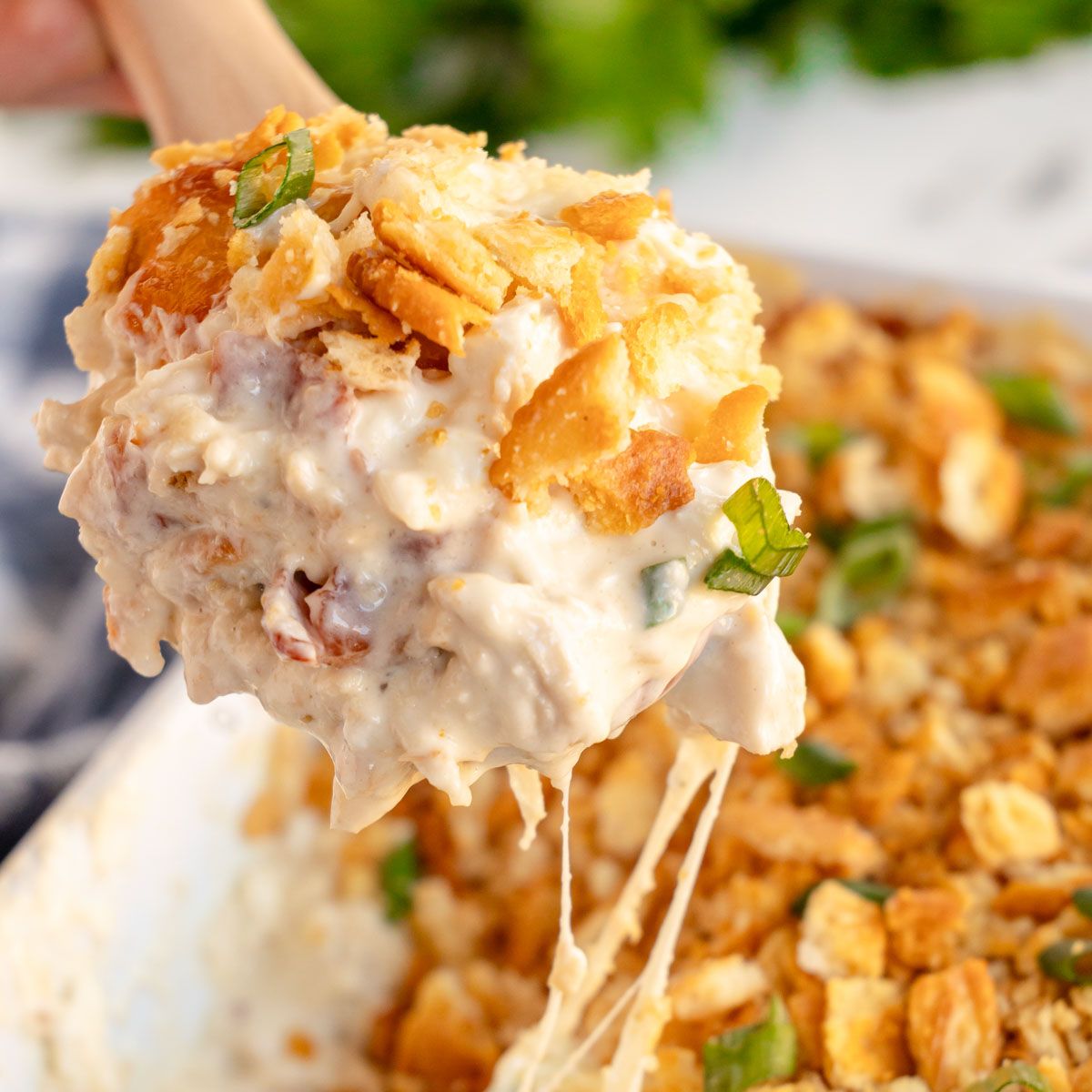 kyleecooks's tweet image. You won’t believe how easy this Million Dollar Chicken Casserole is! 🥘 Creamy, cheesy, and so satisfying! #chickencasserole #easyrecipes #kyleecooks ✅ kyleecooks.com/million-dollar…