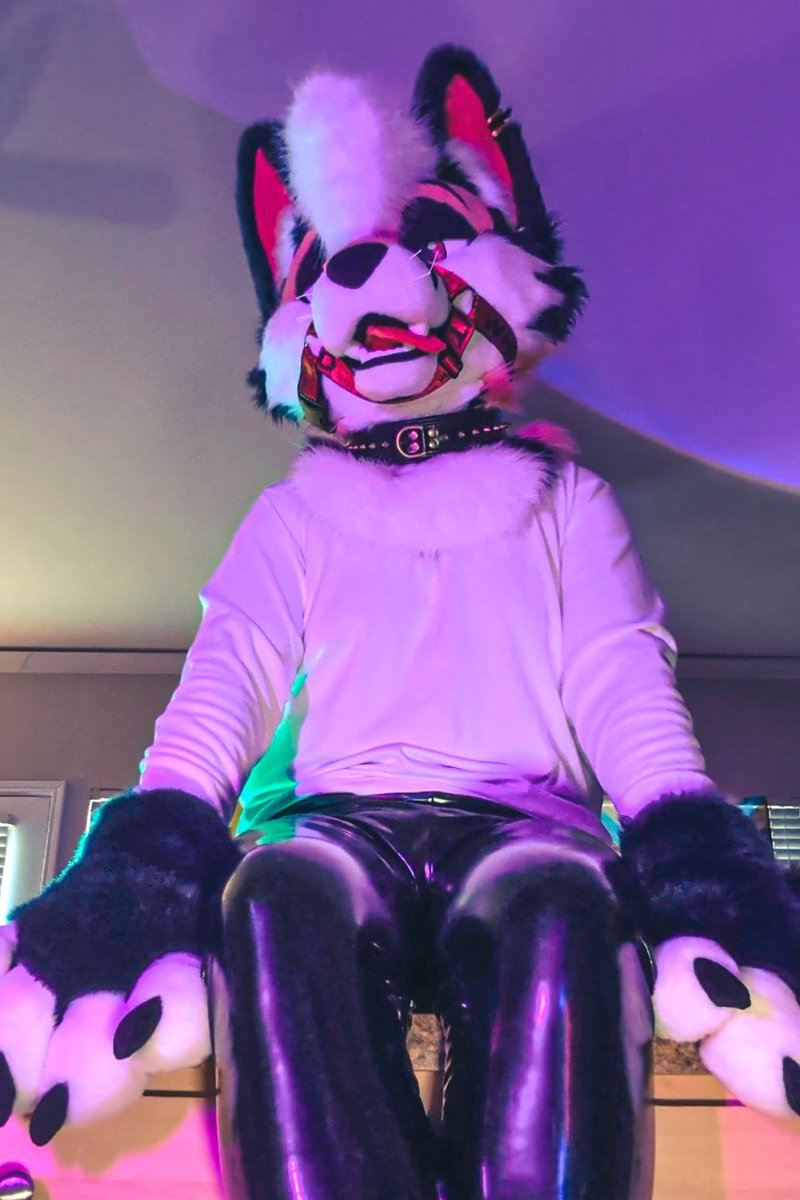 Fox 🦊🔜 FWA, 🇹🇭 tweet media