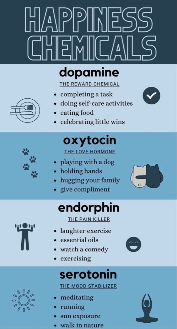 neuronpowers's tweet photo. Happiness Chemicals https://t.co/QhAnyHon4G