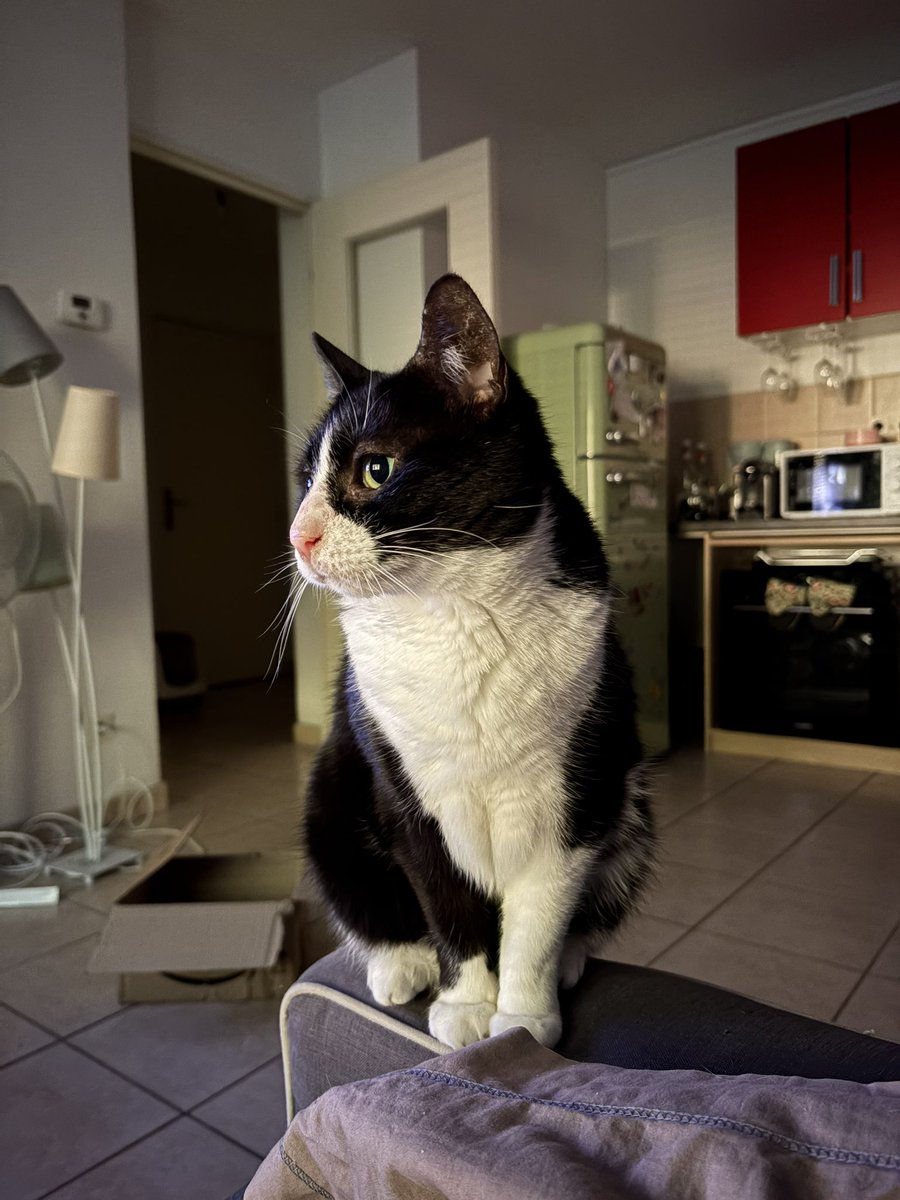 ilobee ✩⡡ tweet media