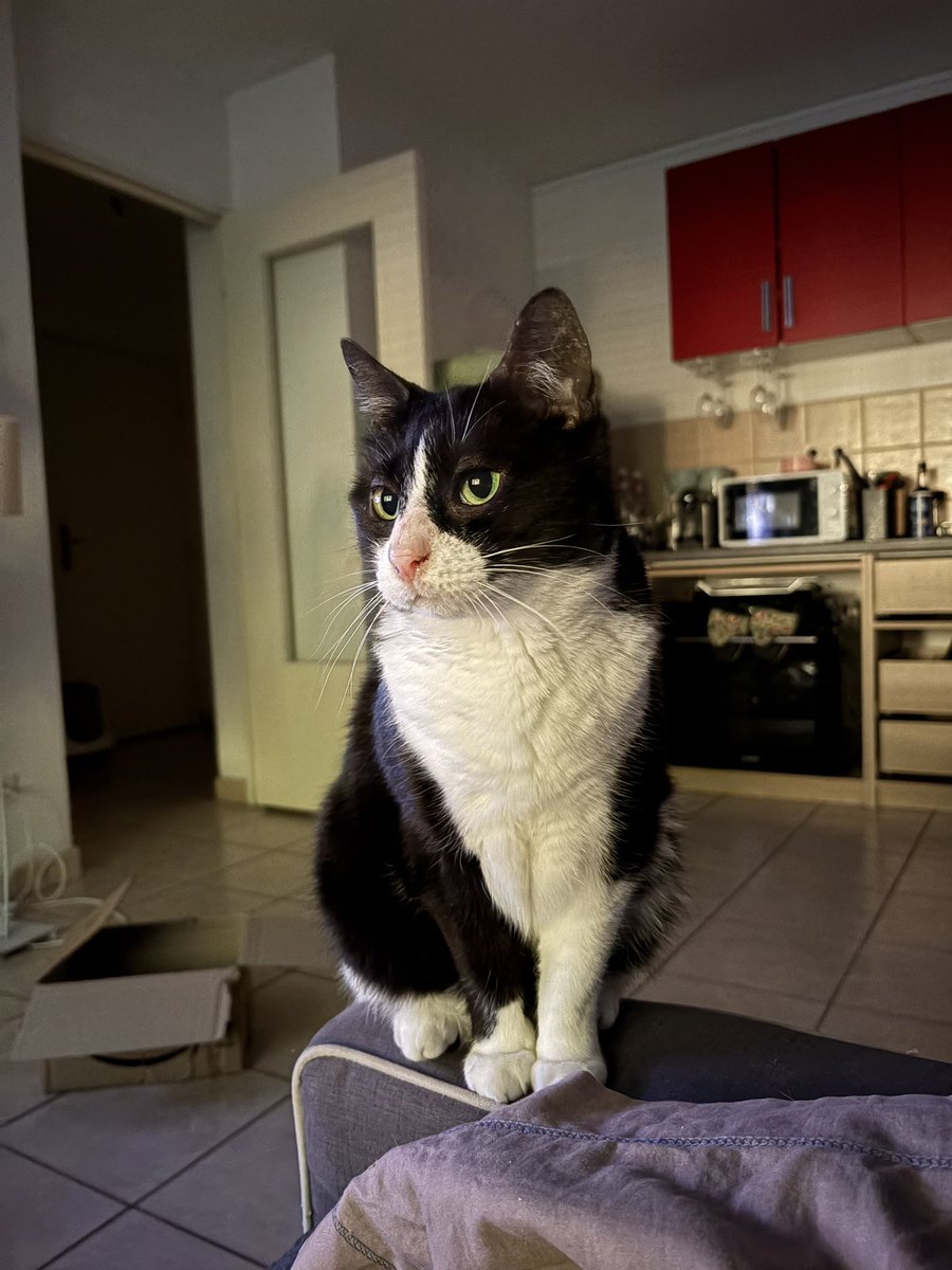 ilobee ✩⡡ tweet media