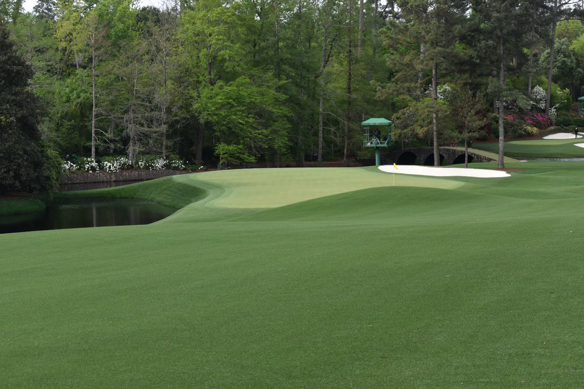 Baked Carbonara tweet media