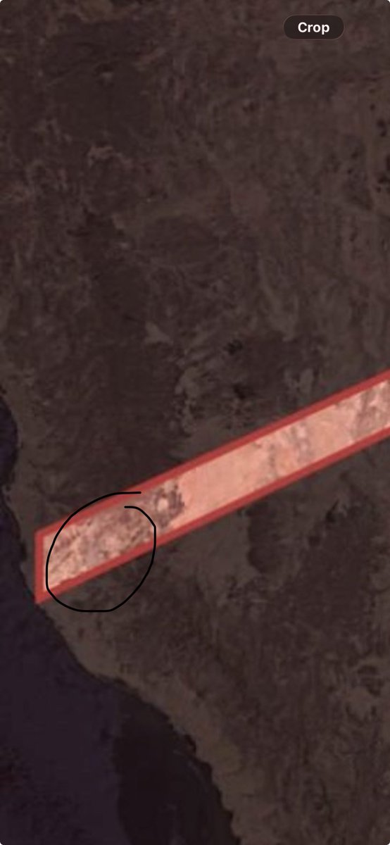 SF 🦅🇸🇦 tweet media