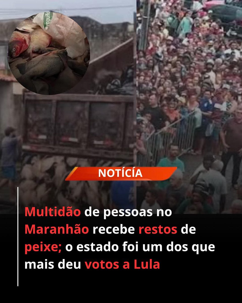 Senso Crítico ⚡ tweet media