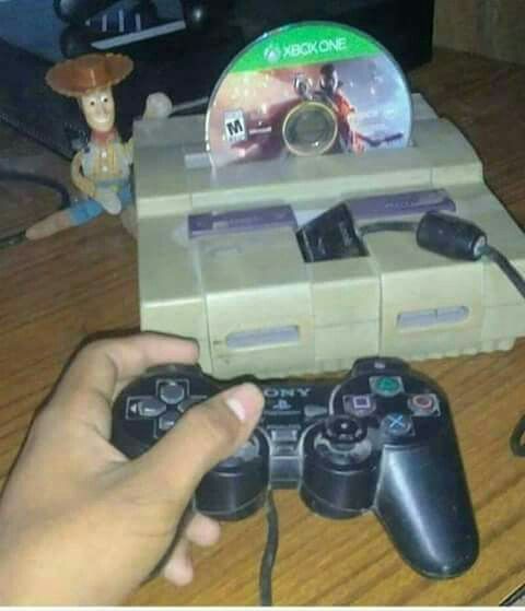 KICK Português tweet media