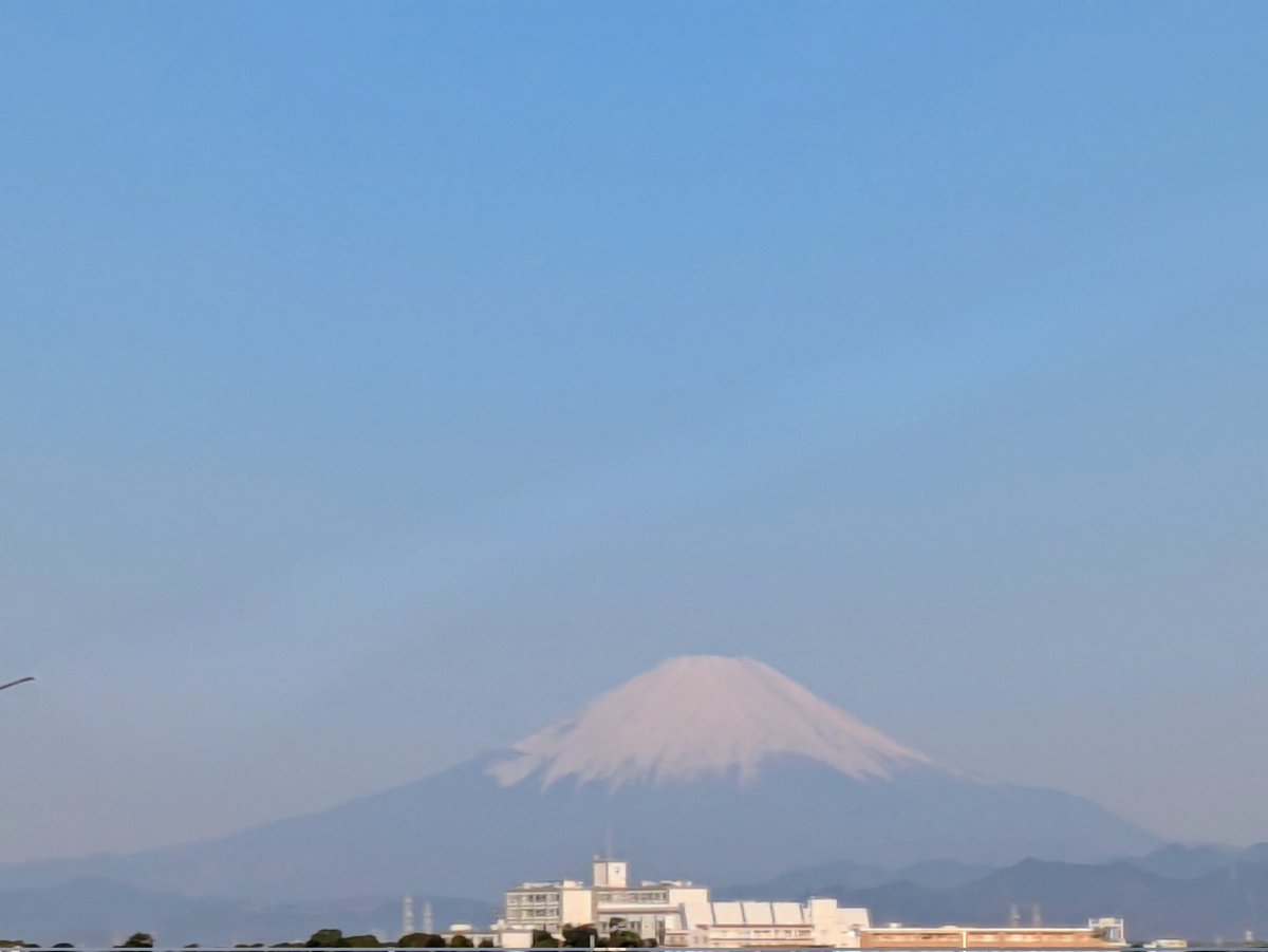 瑞雲ziun ELD55 tweet media