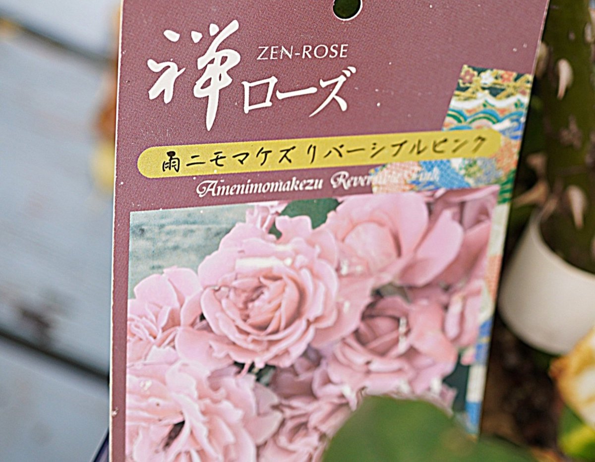 大工の ひろさん tweet media