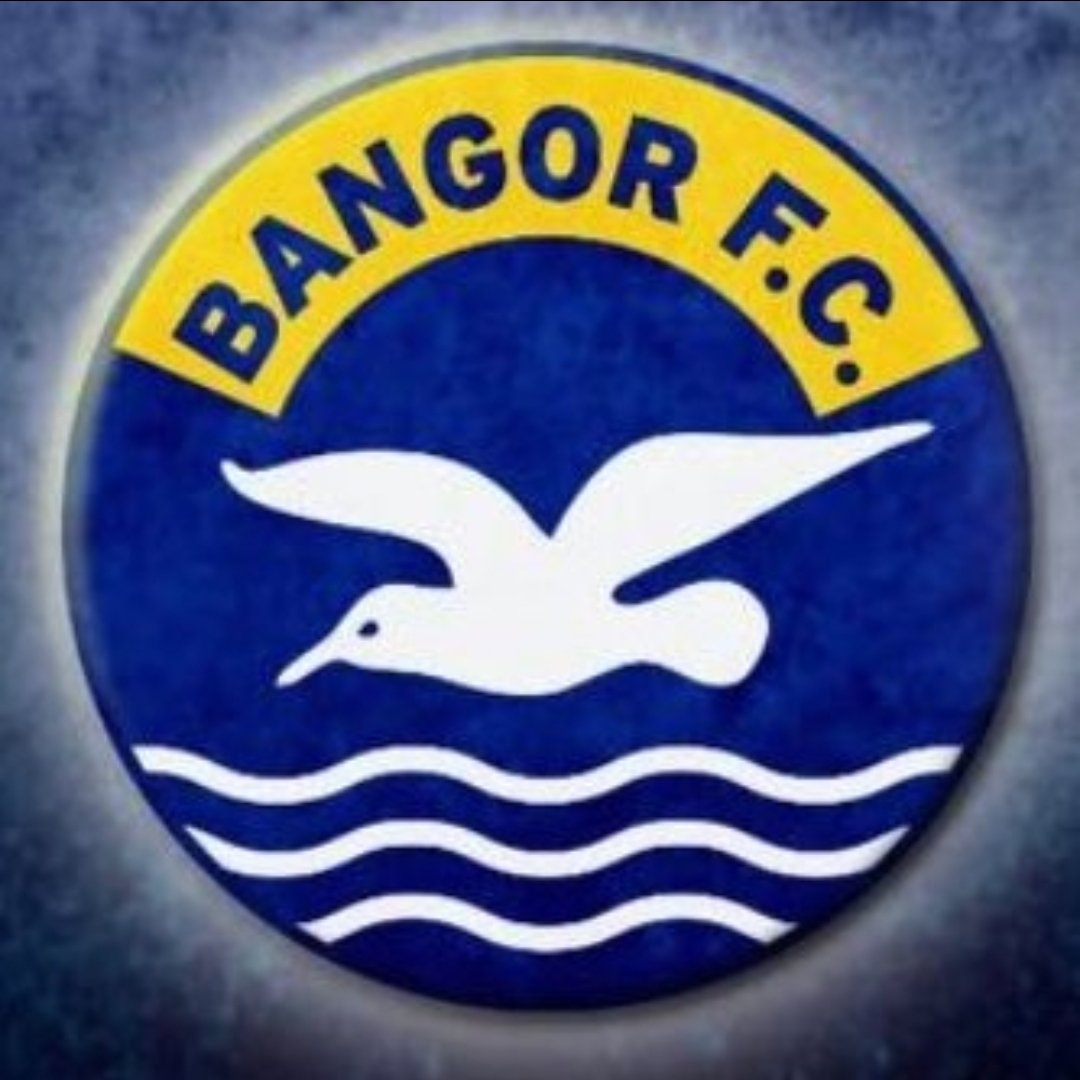 Mark Newman ⚽💛💙🤍 tweet media