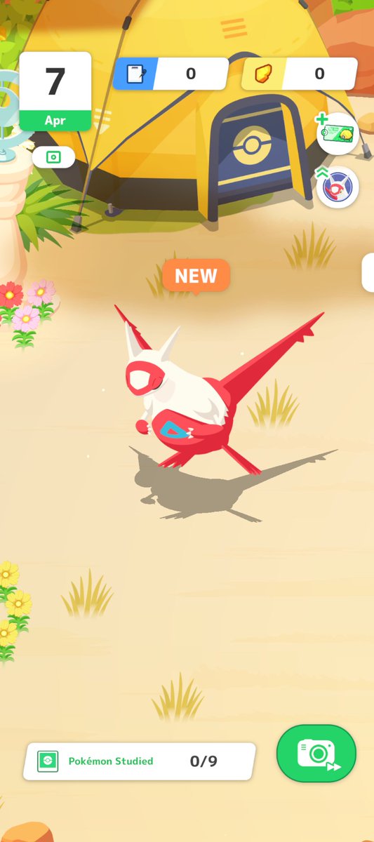 アーノルド/ウォンバ tweet media