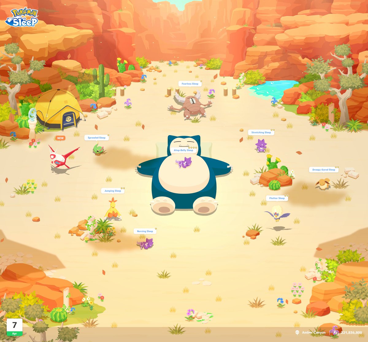 アーノルド/ウォンバ tweet media