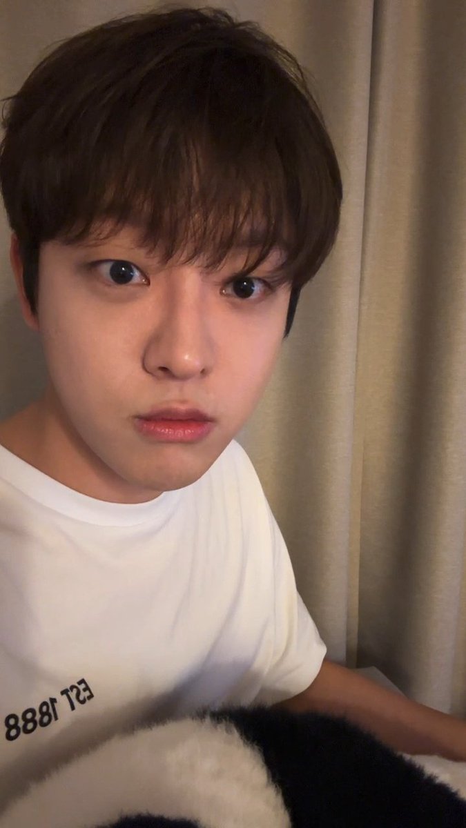 🫐폴베리🍓 tweet media