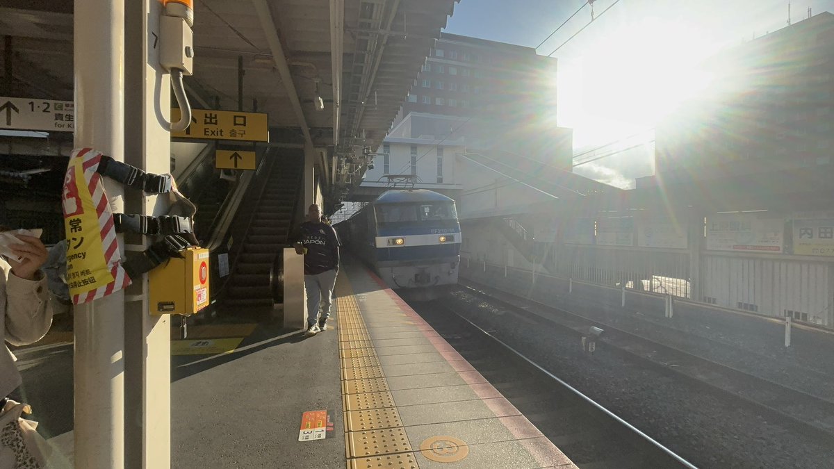 かいたく tweet media