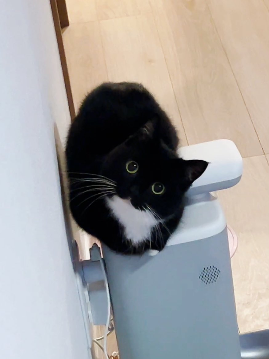 こはぜ tweet media