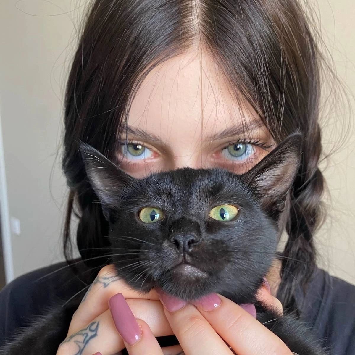 oliv ☆ tweet media