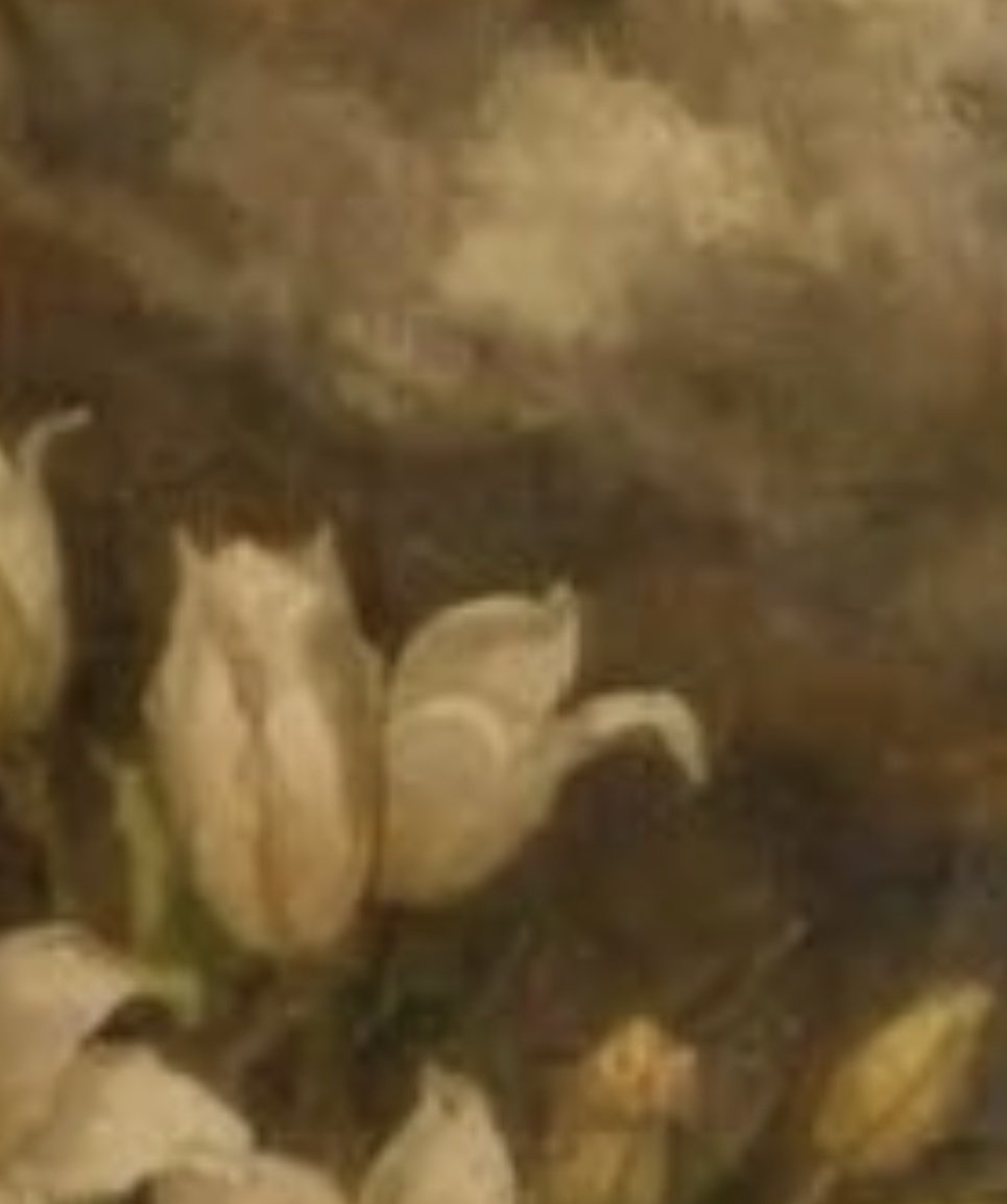 l. batista tweet media