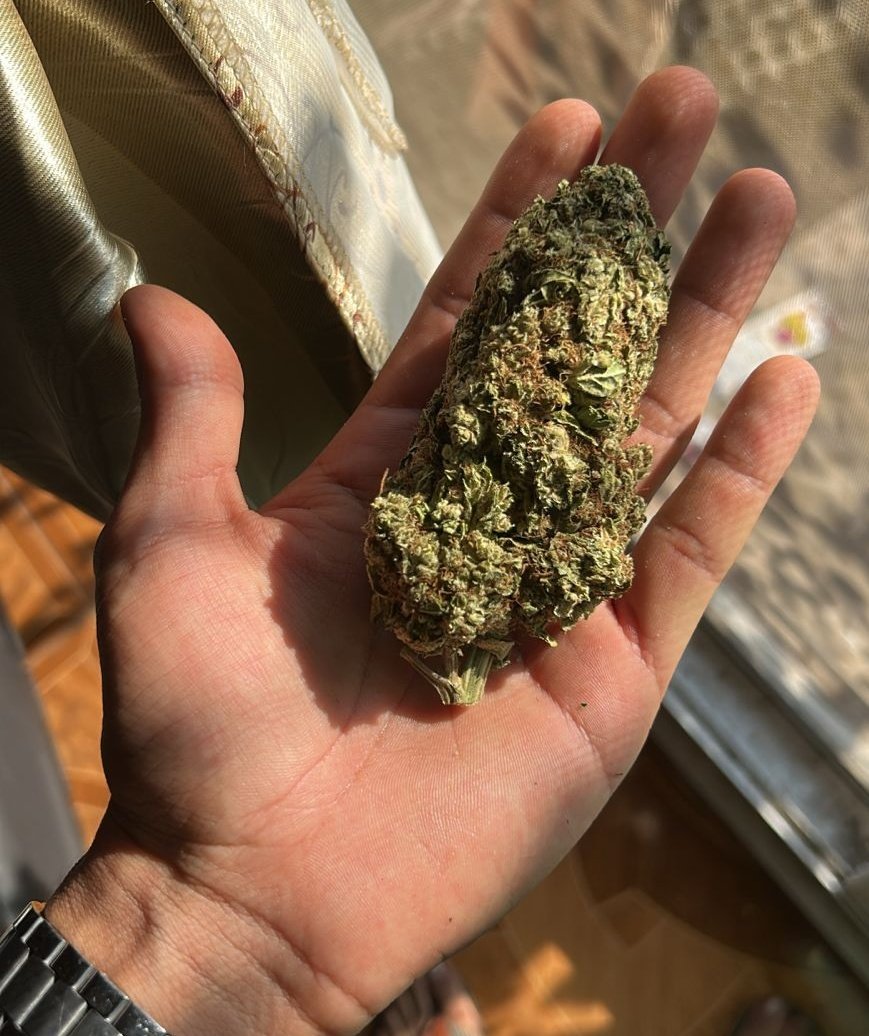 High Moods 420 🔥 tweet media