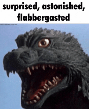 Guilherme 🐢🏆 tweet media