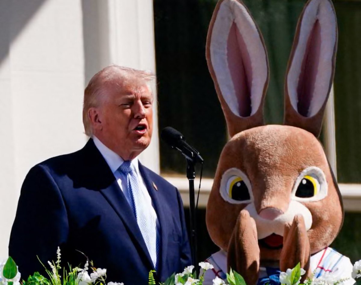 that stock chick tweet media