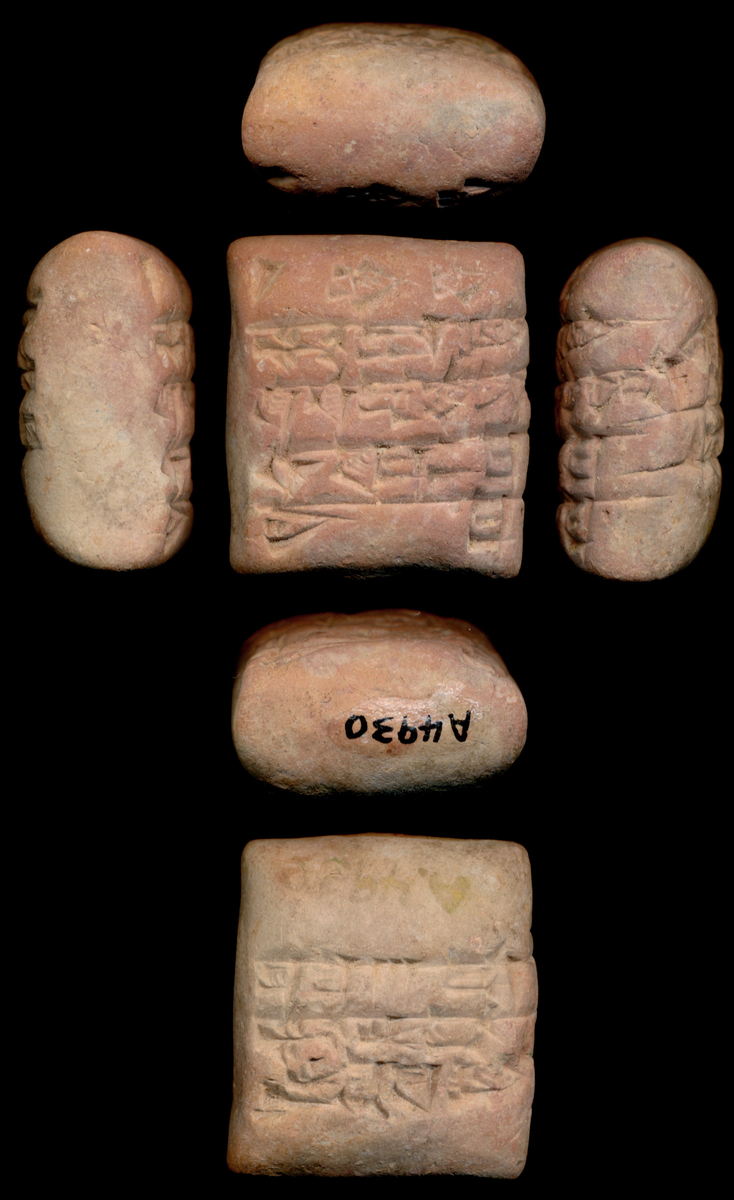 ISAC_UChicago's tweet photo. It's #TabletTuesday! The forthcoming ISAC Museum special exhibition, "A Bestiary of Ancient Nubia" features the section on "Wild and dangerous" animals, looking at wild animals who were hunted, such as ibexes and gazelles, as well as more dangerous animals including hippos and https://t.co/MSvYqSGJue