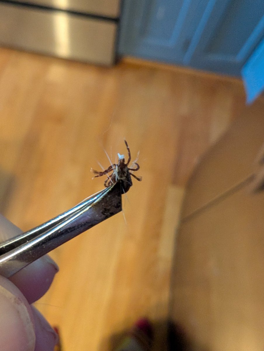 Patrick Heizer tweet media