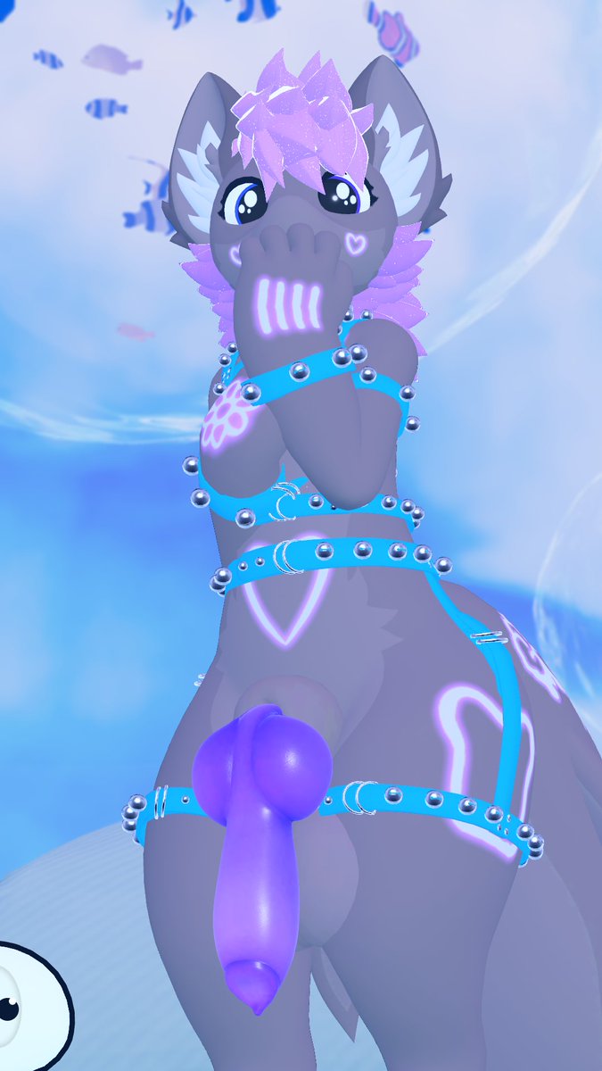 🦈 𝕒𝕢𝕦𝕒𝕥𝕚𝕔 𝕔𝕒𝕥 𝕥𝕙𝕚𝕟𝕘 🦈 tweet media