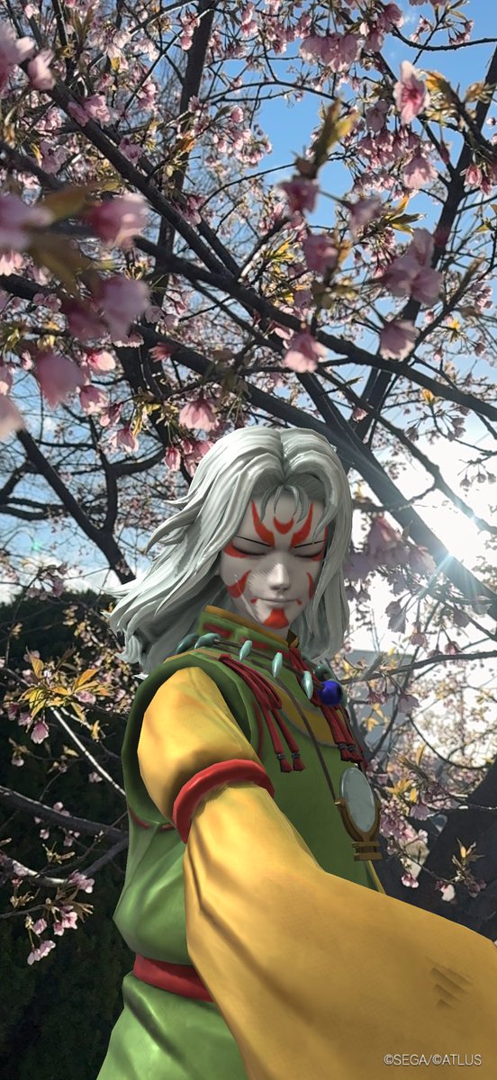 ノムーの霜精 tweet media