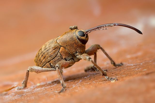 hawa ï๑ tweet media