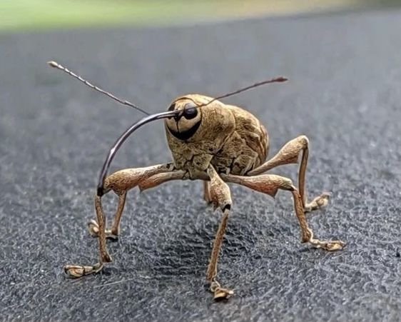 hawa ï๑ tweet media