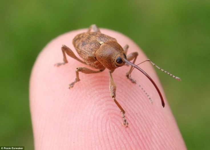 hawa ï๑ tweet media