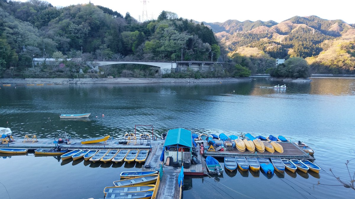 釣船小川亭@相模湖 tweet media