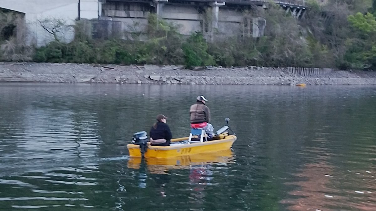 釣船小川亭@相模湖 tweet media