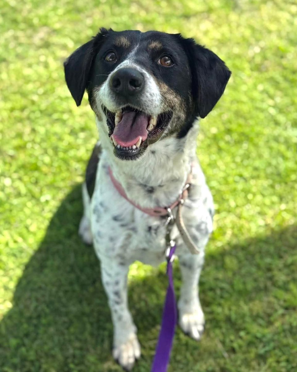 El Campito Refugio tweet media