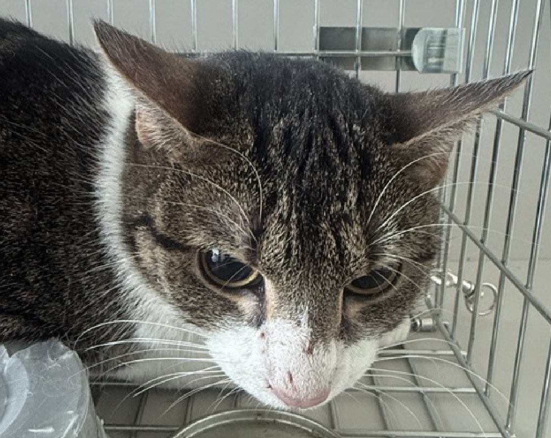 Jack5928 tweet media