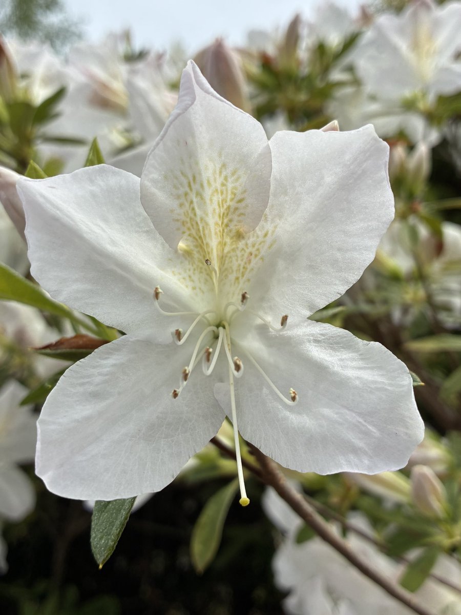 ❤️🩹Rocco DiBari❤️🩹 tweet media