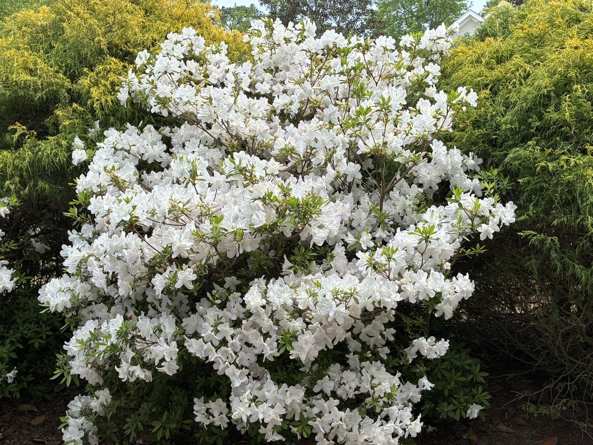 ❤️🩹Rocco DiBari❤️🩹 tweet media