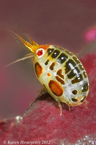 hawa ï๑ tweet media